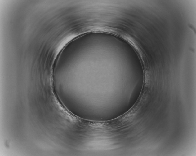 X0000101161048200807071153