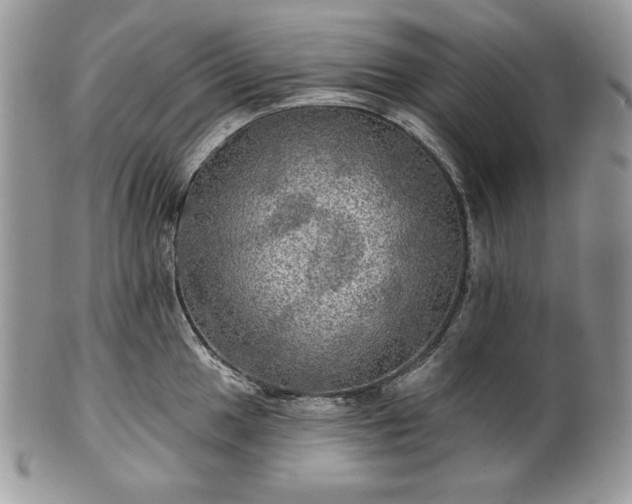 X0000101161049200807071153