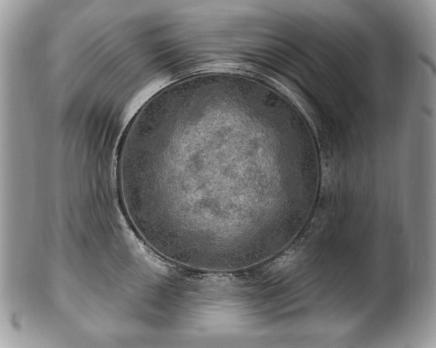 X0000101161050200807071153