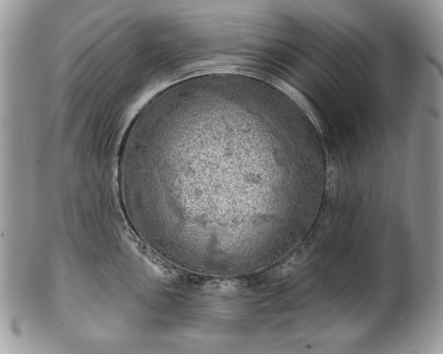 X0000101161051200807071153