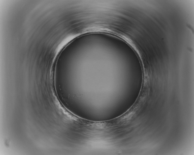 X0000101161053200807071153