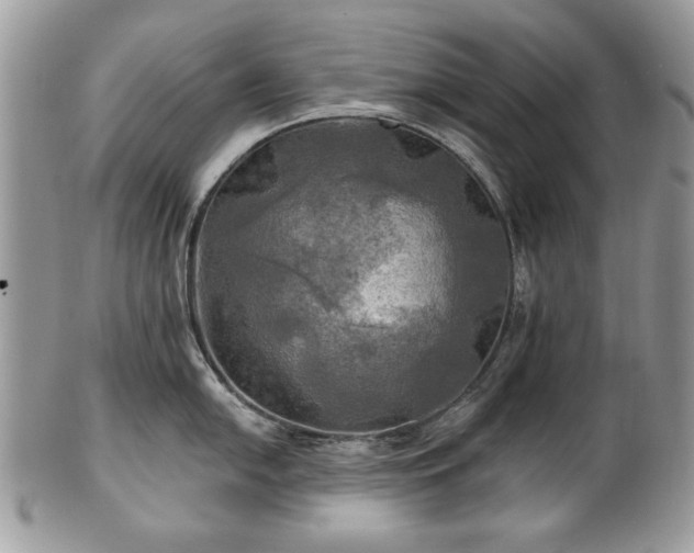 X0000101161054200807071153