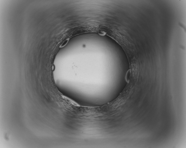 X0000101161057200807071152