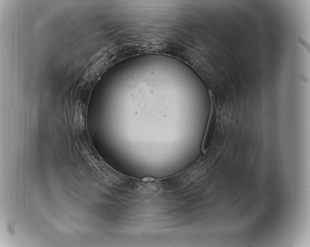 X0000101161058200807071152