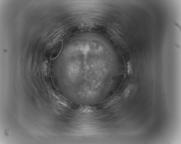 X0000101161059200807071152