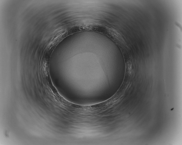 X0000101161060200807071152