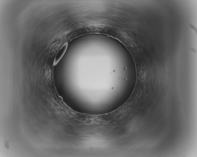 X0000101161061200807071152