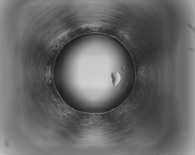 X0000101161062200807071152