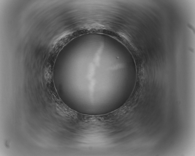 X0000101161063200807071152