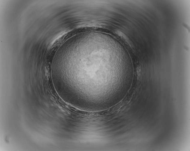 X0000101161064200807071152