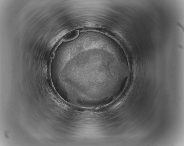 X0000101161065200807071152