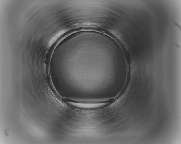 X0000101161066200807071152