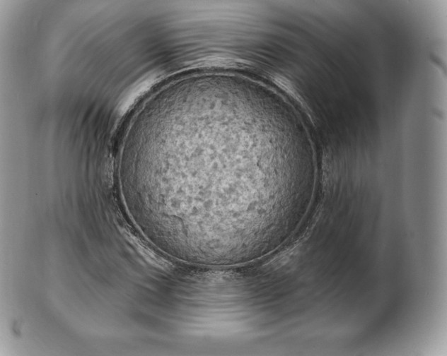 X0000101161067200807071152