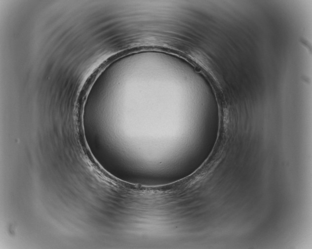 X0000101161068200807071152