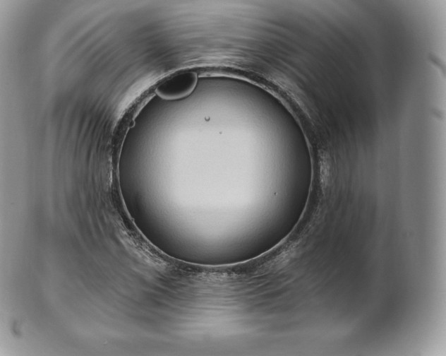 X0000101161069200807071152