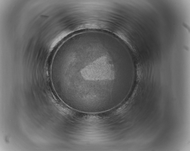 X0000101161070200807071152