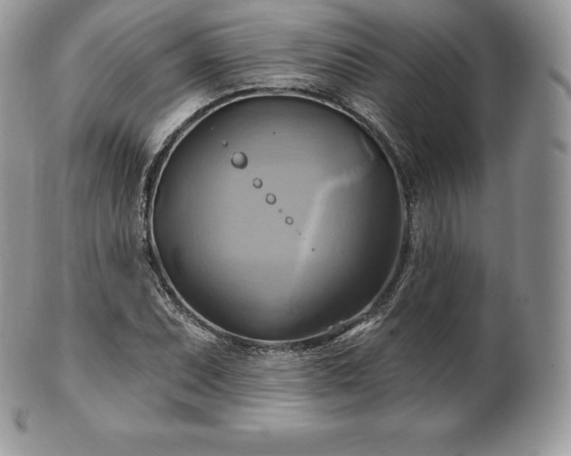 X0000101161071200807071152