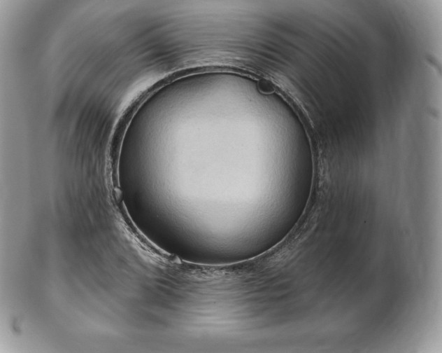 X0000101161072200807071152