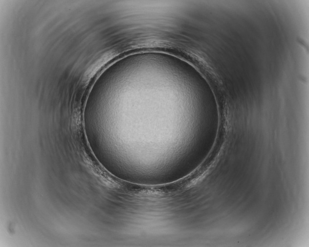 X0000101161073200807071152