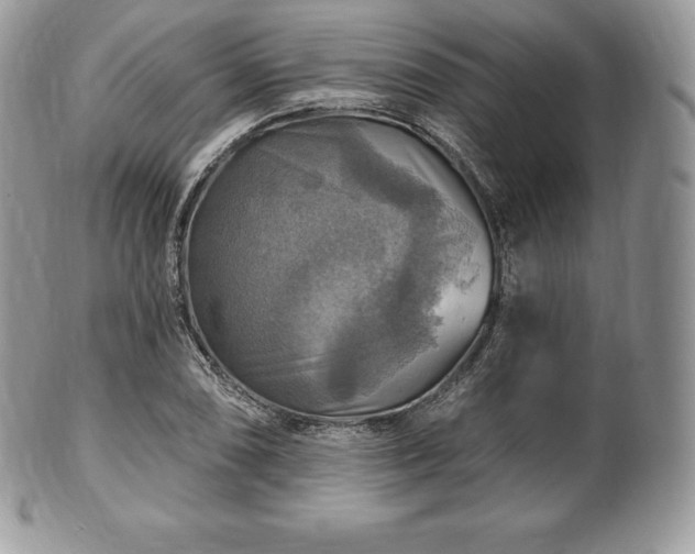 X0000101161074200807071152