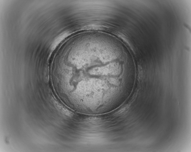 X0000101161075200807071152