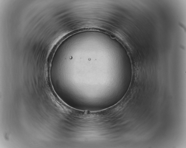 X0000101161076200807071152