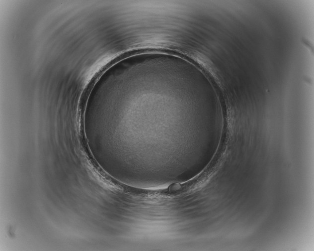 X0000101161077200807071152