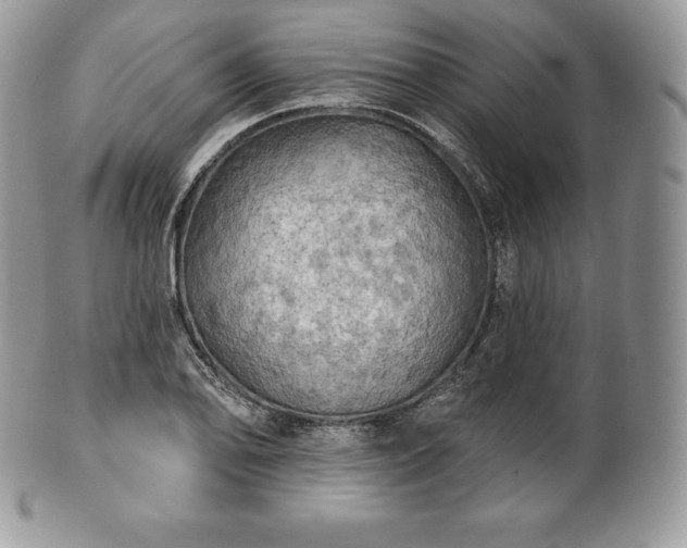 X0000101161078200807071152