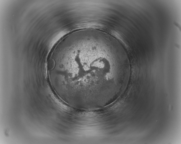 X0000101161079200807071152