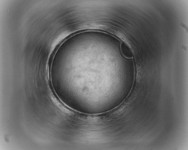 X0000101161080200807071152