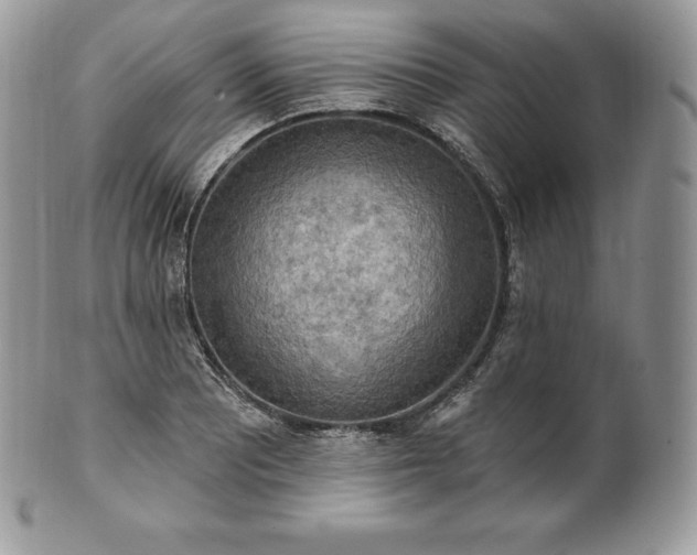 X0000101161081200807071152