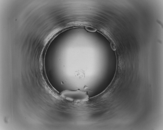 X0000101161082200807071152