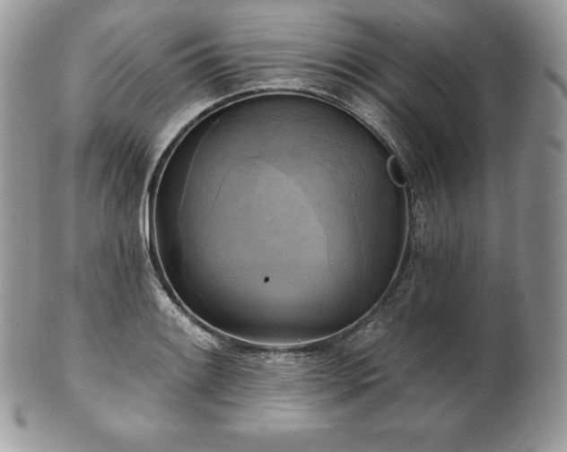 X0000101161084200807071152