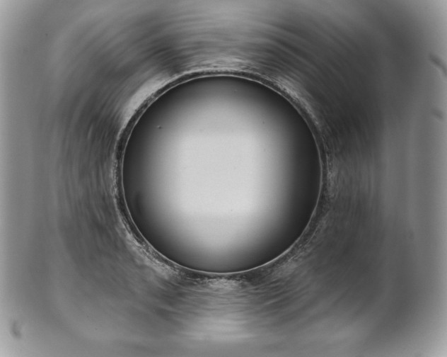 X0000101161085200807071152