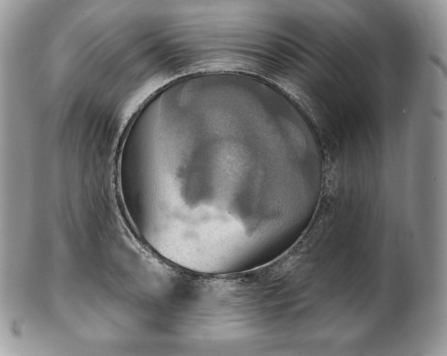 X0000101161086200807071152