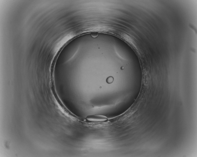 X0000101161087200807071152