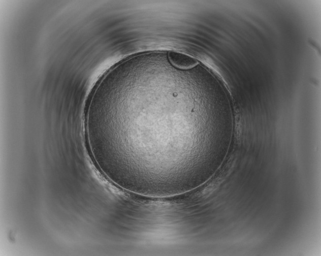 X0000101161088200807071152