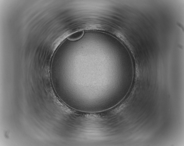 X0000101161089200807071152