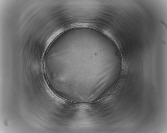 X0000101161090200807071152