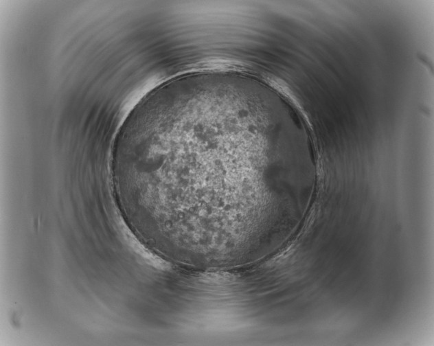 X0000101161091200807071152