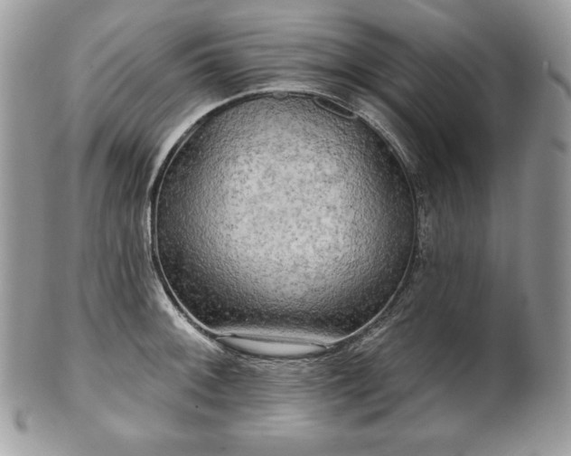 X0000101161092200807071152