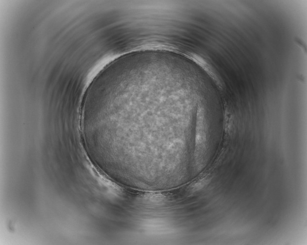 X0000101161094200807071152