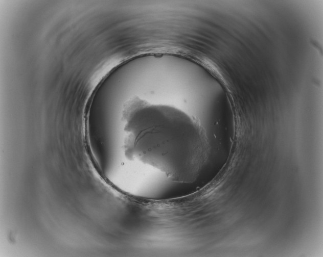 X0000101161095200807071152