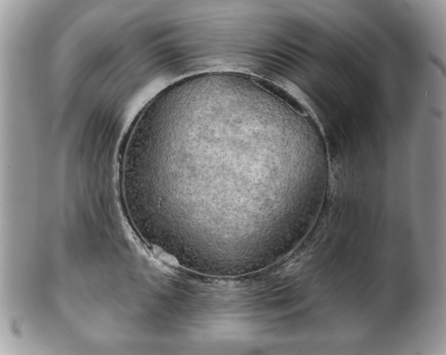 X0000101161096200807071152