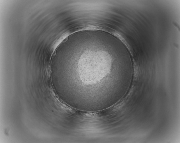 X0000101161097200807071152