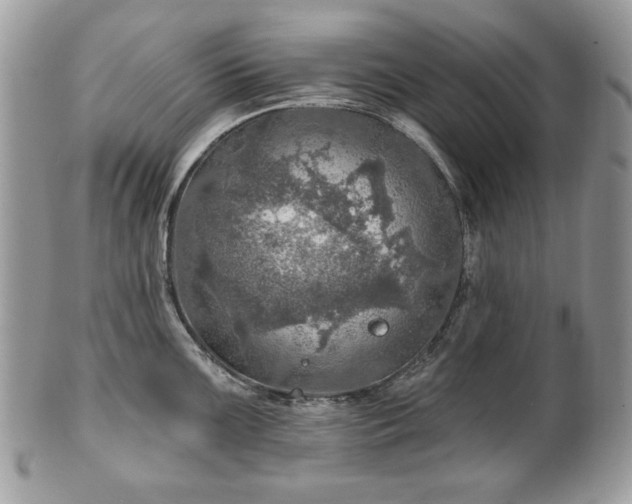 X0000101161099200807071152