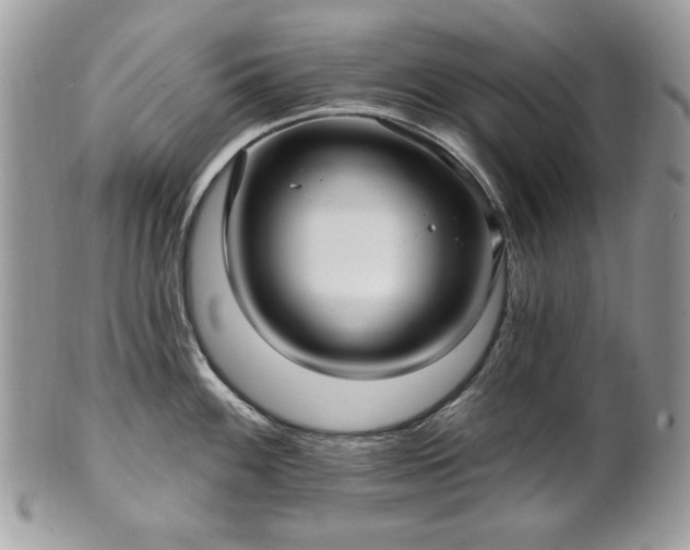 X0000101161100200807071152