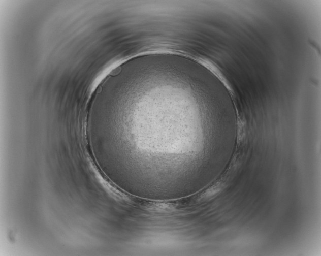 X0000101161101200807071152