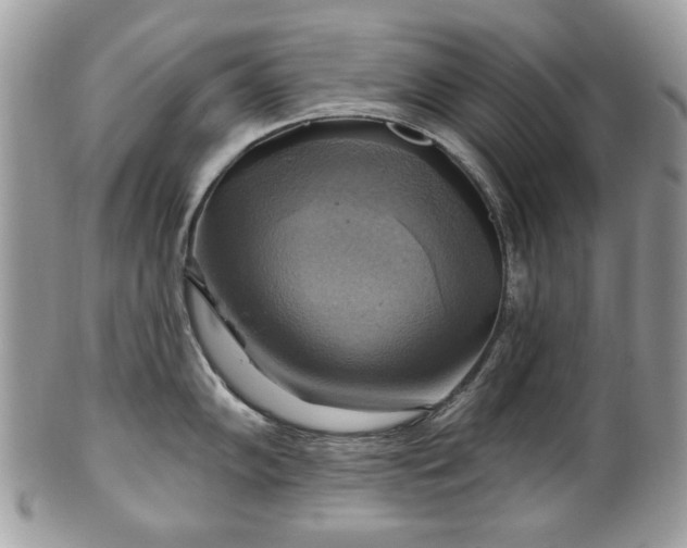 X0000101161102200807071152