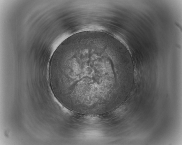 X0000101161103200807071152